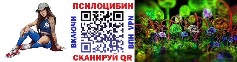 Псилоцибиновые грибы Psilocybe  купить наркотик  Малгобек 